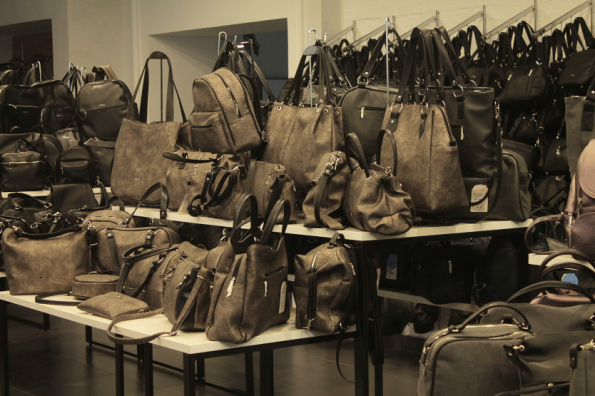 Господдержка поможет новосибирским женщинам летать лоукостерами