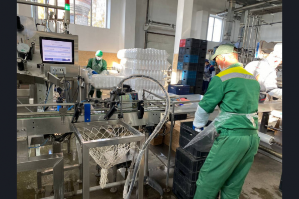 Больше сыров и масла стали производить в Новосибирской области в 2023 году