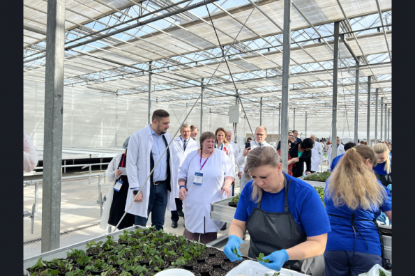 Роботы и розы: в Новосибирской области запущен новый комплекс по выращиванию цветов