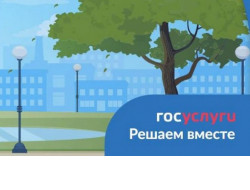 Более 49 тысяч обращений за полгода поступило от жителей Новосибирской области на платформу «Госуслуги. Решаем вместе»