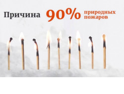 Противопожарная акция «Останови огонь!» стартует в Новосибирской области