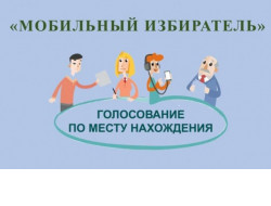 Механизм «Мобильный избиратель» стал доступен жителям региона для голосования по вопросу изменений в Конституцию России