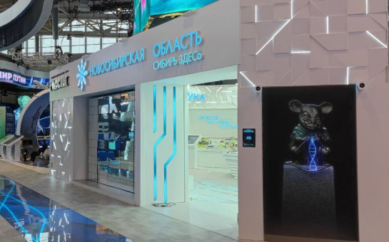 17 тысяч голосов уже отдали жители страны за стенд Новосибирской области на ВДНХ – голосование продолжается