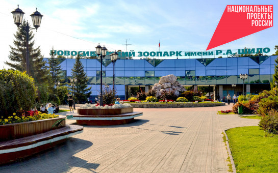 Наука, отдых и здоровье: туристический поток Новосибирской области за год вырос на 20%