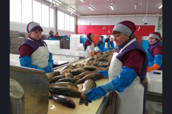 На четверть больше рыбы за полгода благодаря мерам господдержки выловлено в Новосибирской области