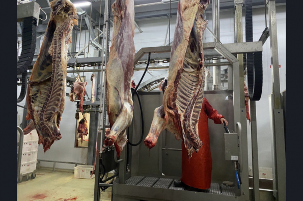 Увеличено производство и повышено качество: нацпроект помог новосибирским производителям мяса и мясной продукции
