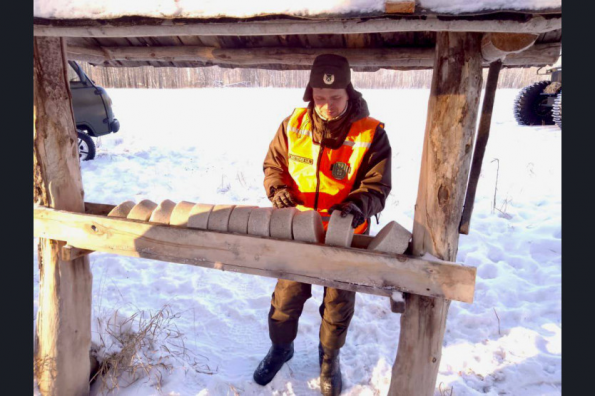 9 тысяч веников и 20 тонн соли заготовлено в регионе для диких животных в заказниках