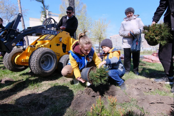 Более 110 тысяч молодых деревьев появится в регионе благодаря эколого-патриотической акции