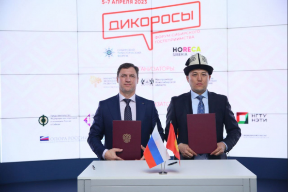 Новосибирская область нацелена увеличить поток медицинских туристов из зарубежных стран