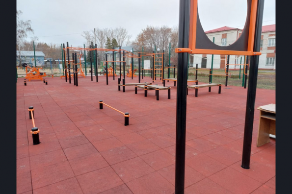 Более 30 спортивных площадок построят в районах Новосибирской области в этом году