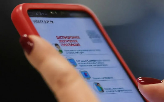 Систему дистанционного голосования протестируют в Новосибирской области