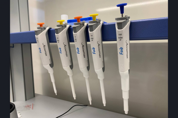 В Новосибирской области начали готовить «цифровых» инженеров, способных создавать ДНК-чипы и расшифровывать геном