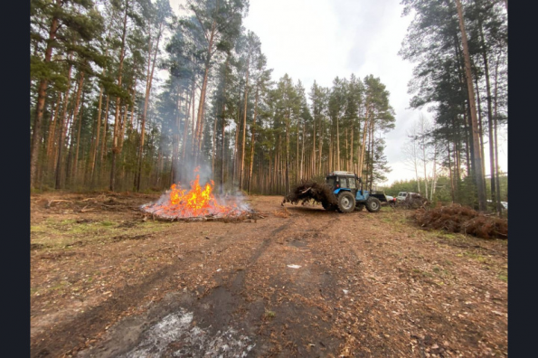 Улучшено состояние леса: в Новосибирской области сожгли лесопорубочные остатки прошлого сезона