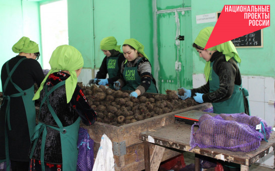 На 50 часов быстрее стали упаковывать продукцию на новосибирском предприятии по нацпроекту