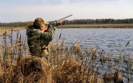 Новосибирцы первыми в России начали получать электронные разрешения на охоту