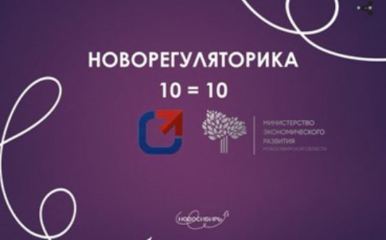 Марафон «Новорегуляторика 10=10» запущен в Новосибирской области