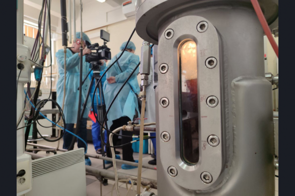 Разработки новосибирских биотехнологов внедрят в животноводство 