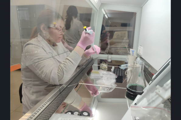 Проект передовых инженерных школ в Новосибирской области будет расширен в соответствии с Посланием Президента 