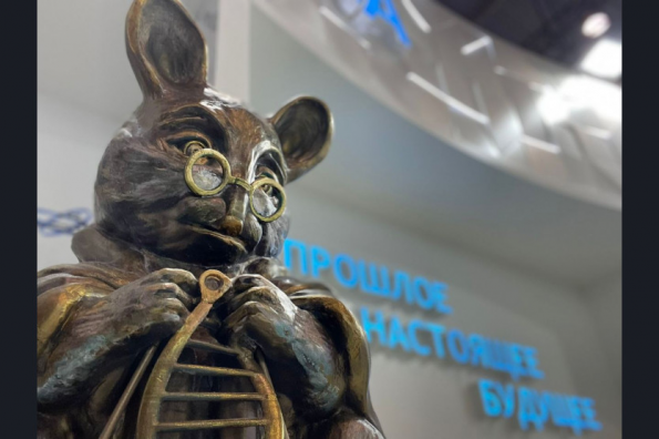 проголосовать в другом регионе марте 2024. выборы 2024 пнгвыборы президента рф. выборы президента 2024 года. выборы в россии 2024. проголосовать в другом регионе марте 2024.