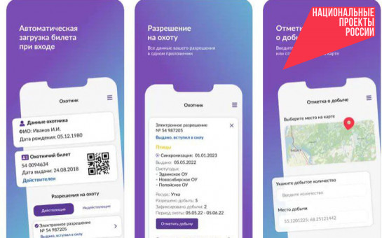 Треть годовой нормы по выдаче электронных разрешений на охоту Новосибирская область выполнила за две недели