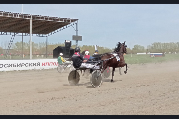 Кристалл, Заир и Банкомёт стали победителями на открытии 121-го летнего бегового сезона в регионе