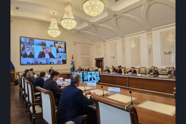 Жителям Новосибирской области стал доступен суперсервис «Рождение ребенка»