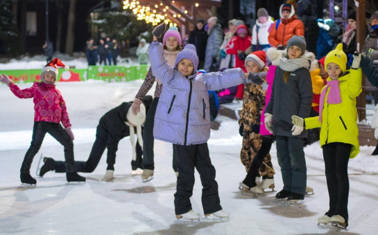 Яркую спортивную программу подготовили для жителей Новосибирской области на период новогодних праздников