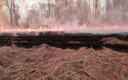 Особый противопожарный режим продлен в Новосибирской области