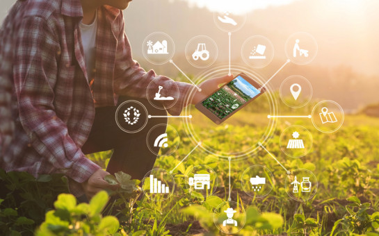 У новосибирских аграриев появилась возможность передачи данных о ходе посевной через мобильное приложение