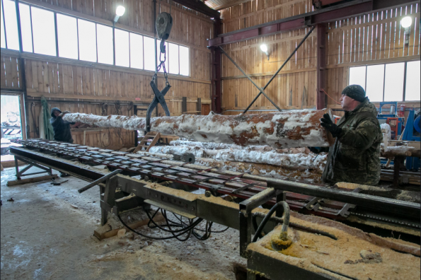 Лесопромышленные предприятия региона внедряют безотходное производство для сохранения лесов