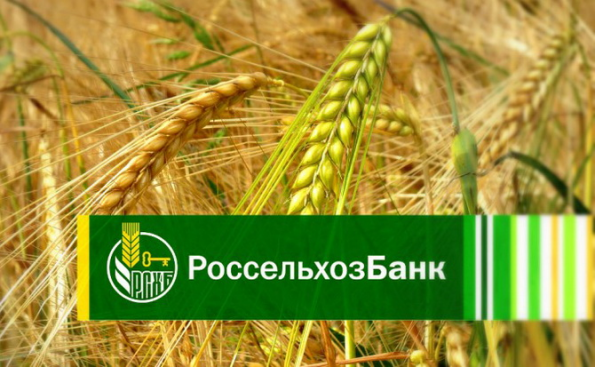 Россельхозбанк направил 3,8 млрд рублей на развитие свинокомплекса в Новосибирской области