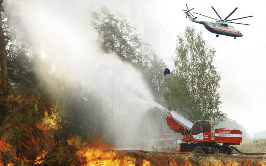 Губернатор Андрей Травников утвердил план по предупреждению и тушению лесных пожаров