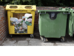Новые контейнеры для раздельного сбора мусора и компостные черви для утилизации: в регионе развивается система обращения с отходами