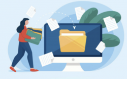 Почти 230 проектов муниципальных образований Новосибирской области получат региональную господдержку по итогам конкурса