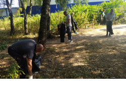 Жителей региона приглашают принять участие во Всероссийском субботнике «Зелёная Россия»