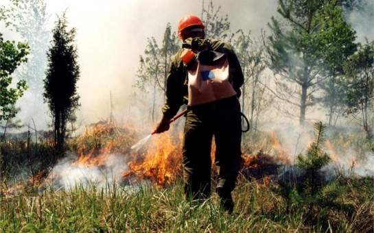 «Лесохранитель» и «Лесной Страж» помогли сократить количество пожаров в Новосибирской области