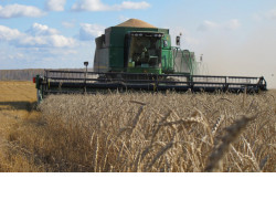 Аграрии Новосибирской области завершили уборочную кампанию, собрав почти 2,7 млн тонн зерна