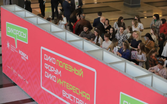 Новый пригородный маршрут в Новосибирской области стал самым протяженным в России и упростил доступ к достопримечательностям региона