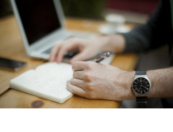 Пособие по безработице в Новосибирской области можно оформить онлайн