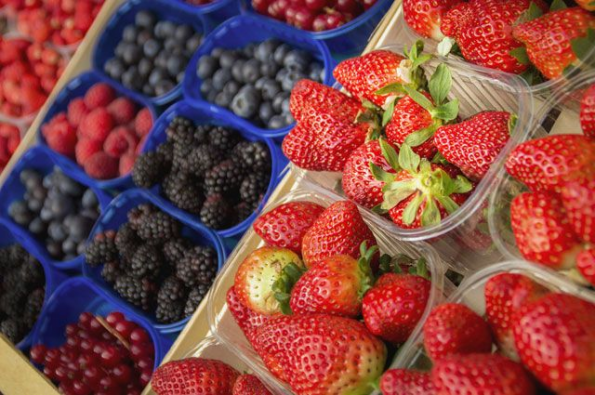 350 тонн ягод собрали сельхозпроизводители Новосибирской области 