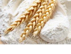 Производители муки и хлеба региона получат федеральную поддержку