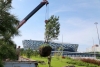 Россельхозбанк подарил Новосибирску новую кедровую аллею